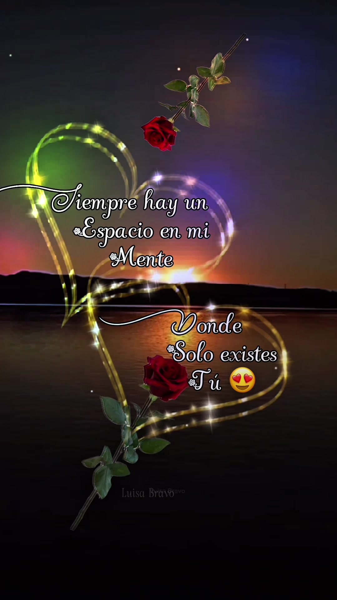 @bravo_luisa