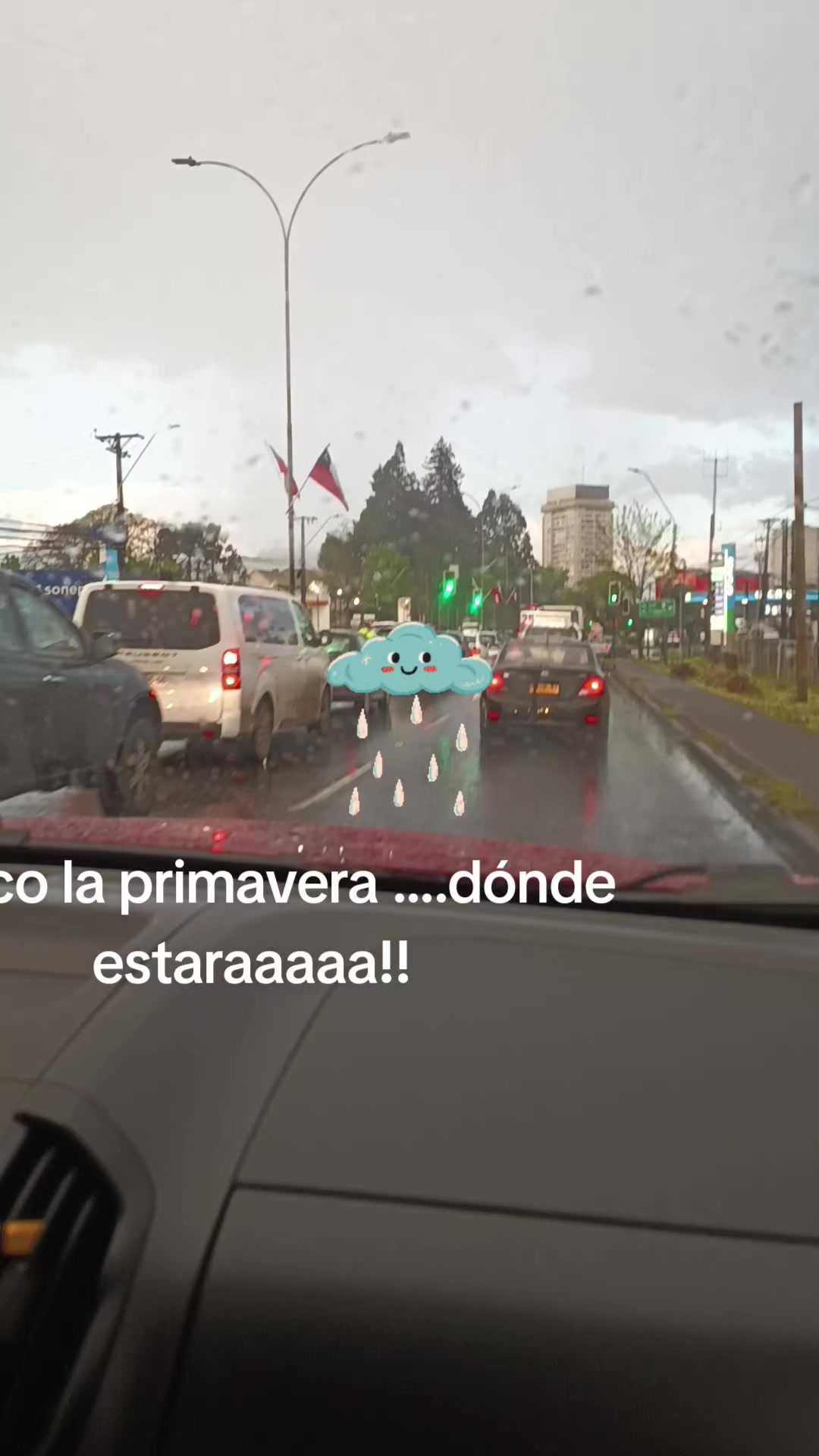 @martamillan772