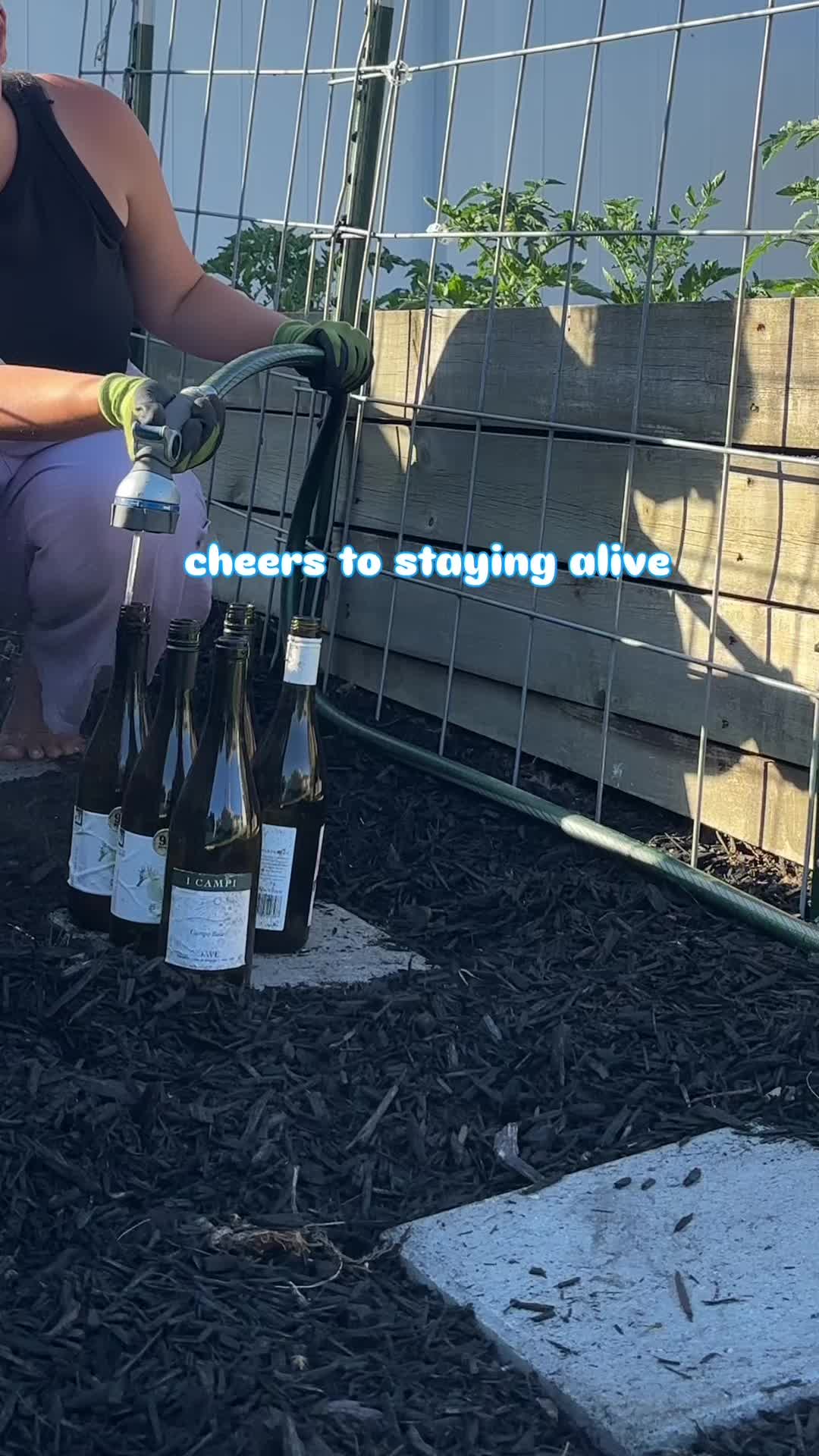 @EMILY