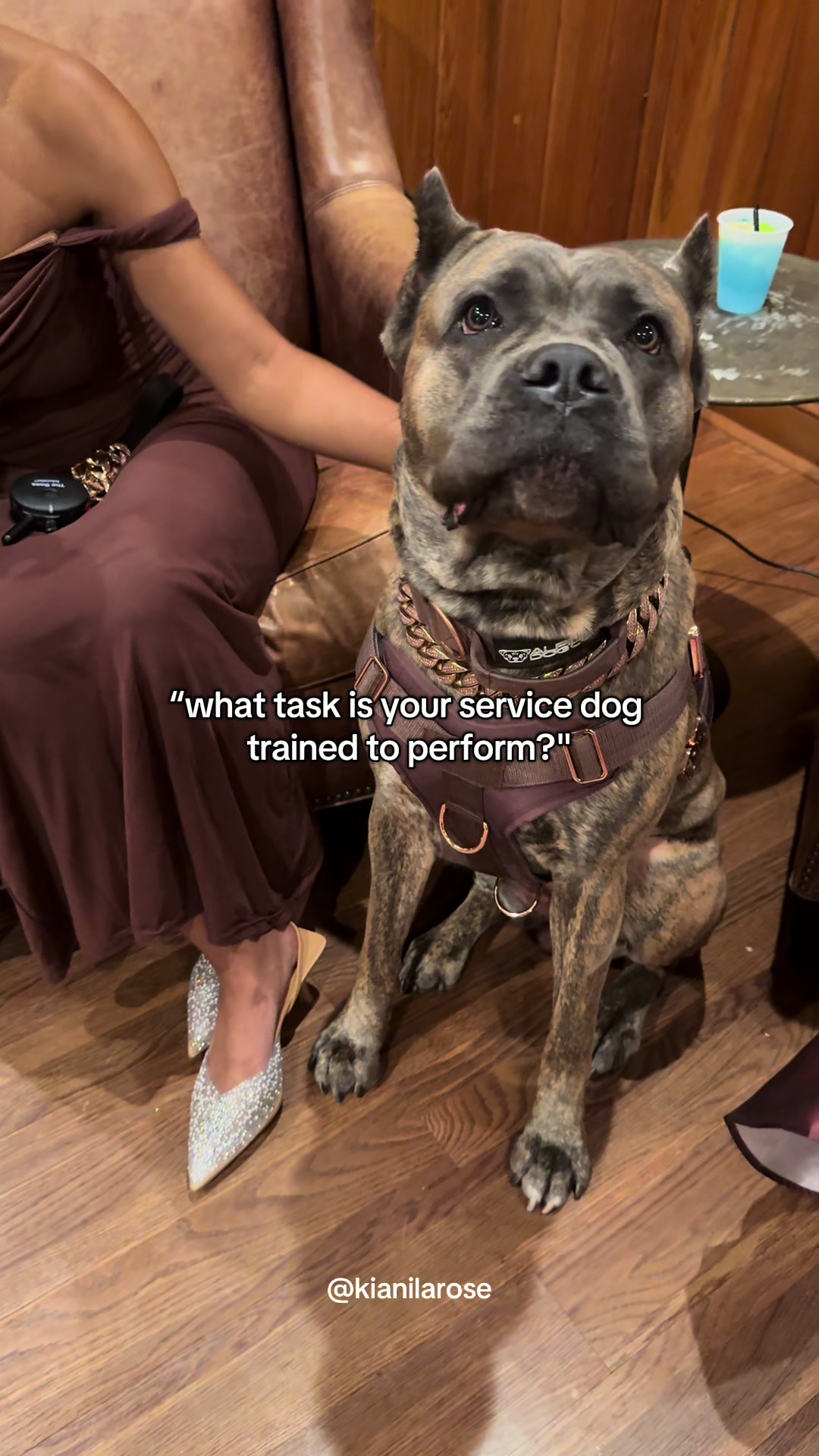 @Ki & Kora