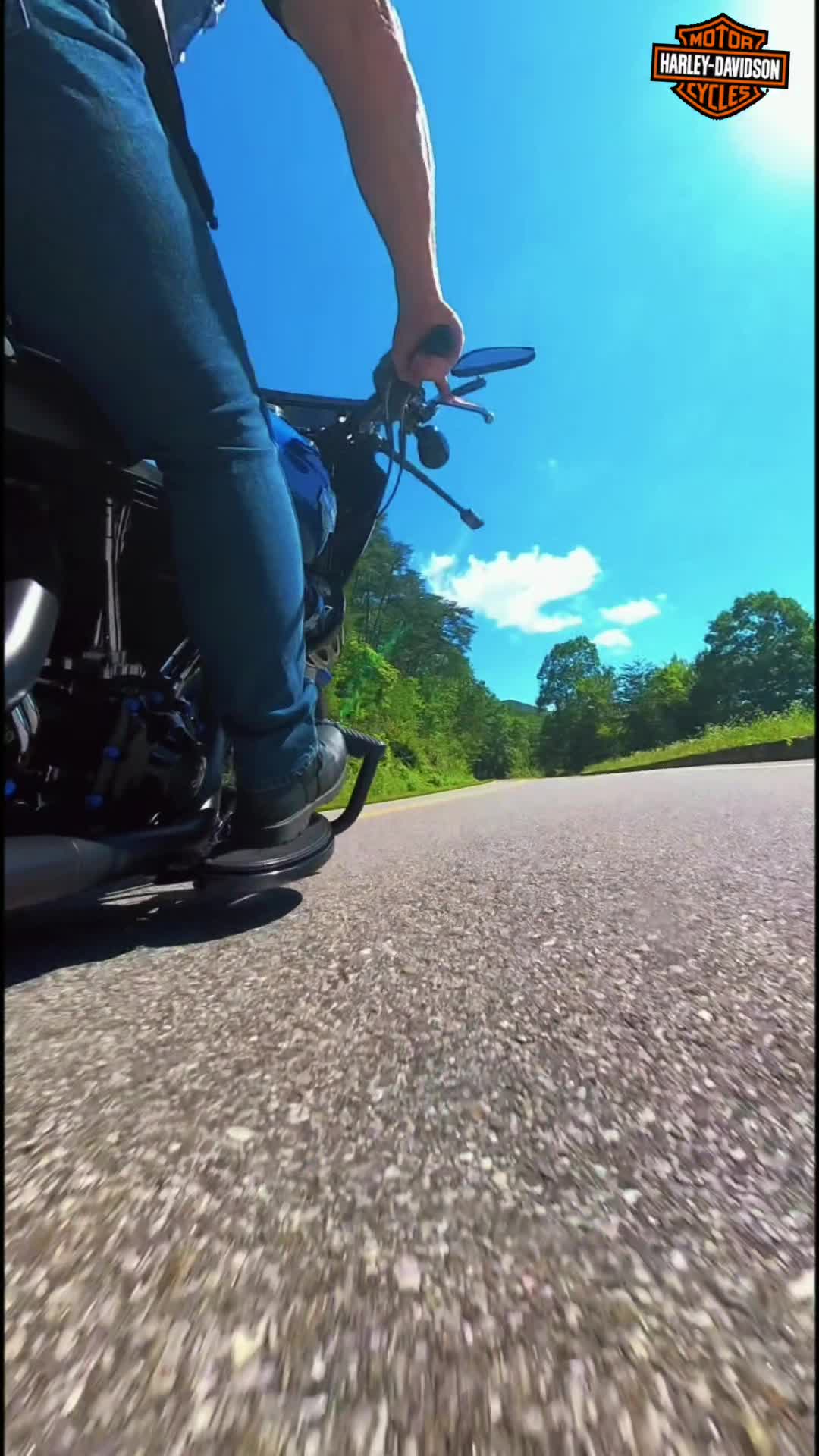 @Harleyrider15