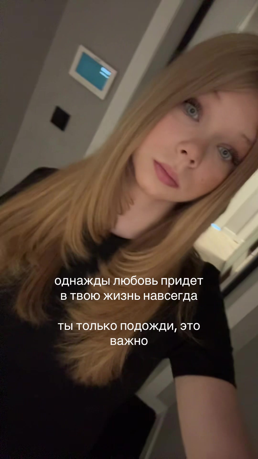 @didymanil