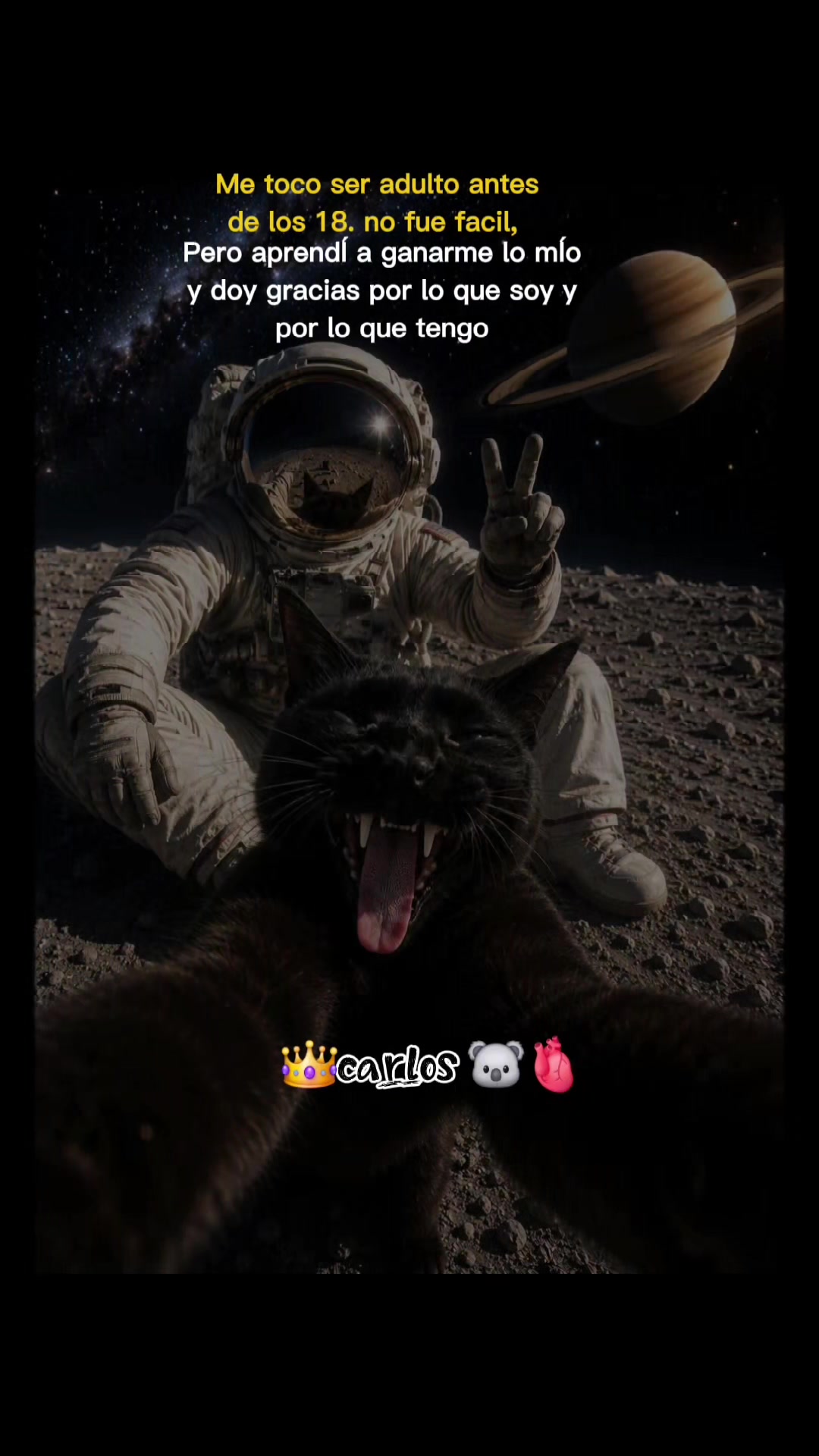 @Carlos🐨