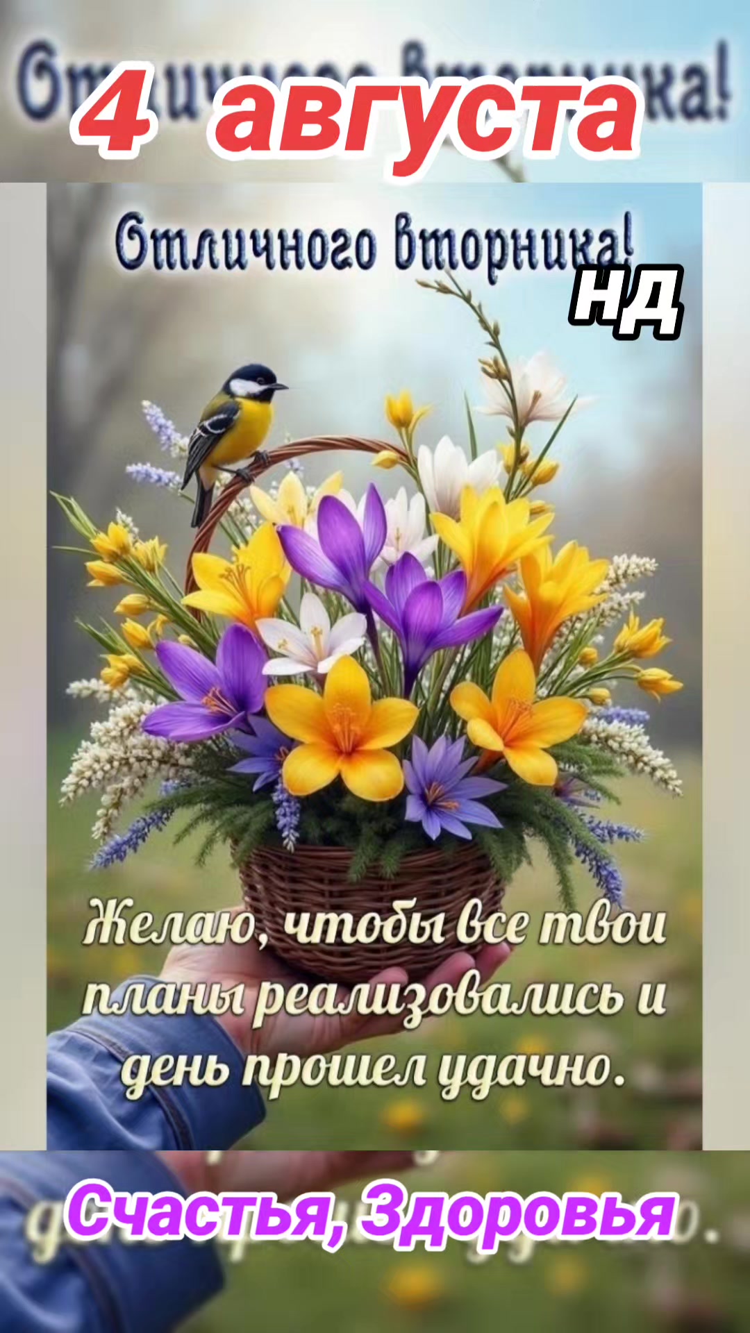 @Ната