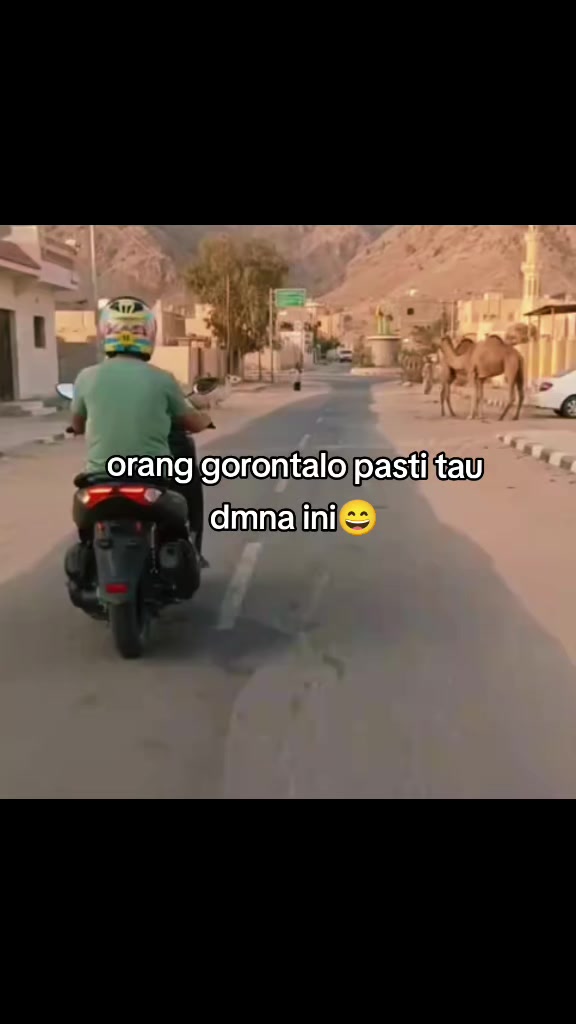 @🇬&nbsp;🇴&nbsp;🇷&nbsp;🇴&nbsp;🇳&nbsp;🇹&nbsp;🇦&nbsp;🇱&nbsp;🇴&nbsp;⚔️