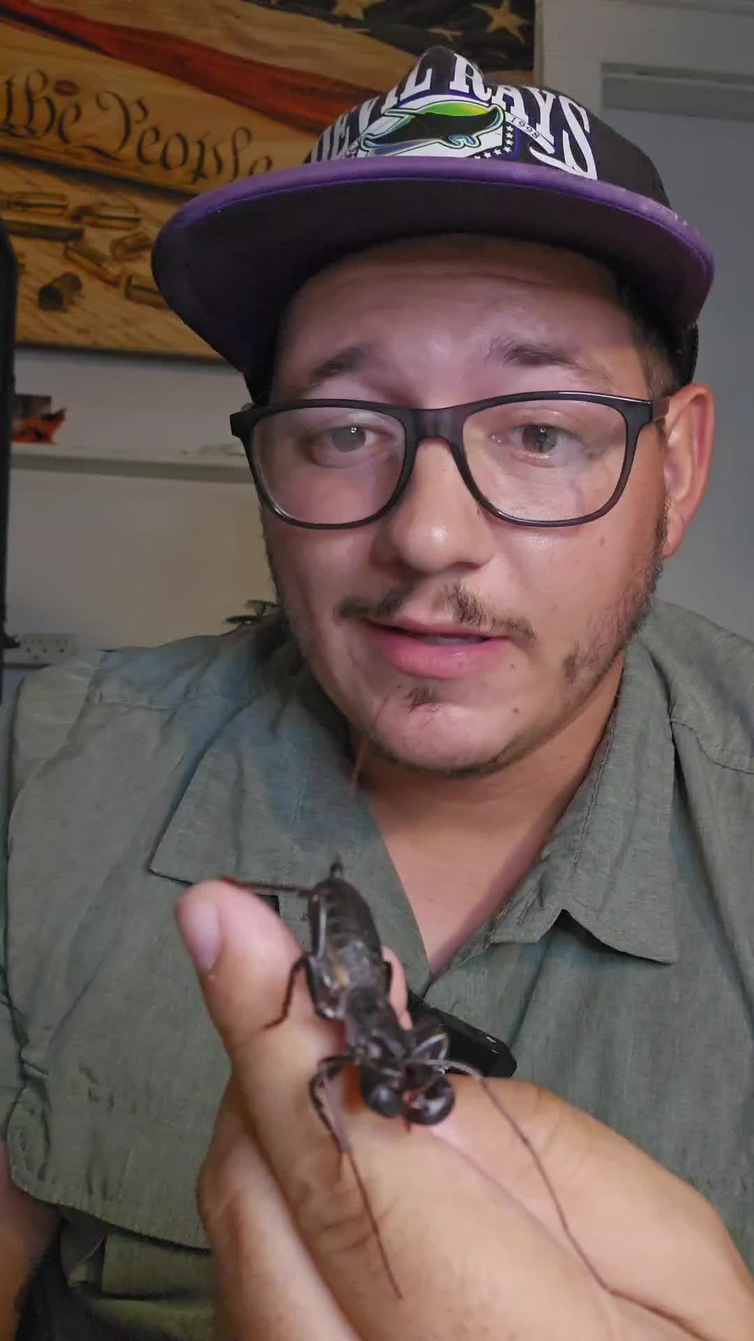 @Dna Reptiles