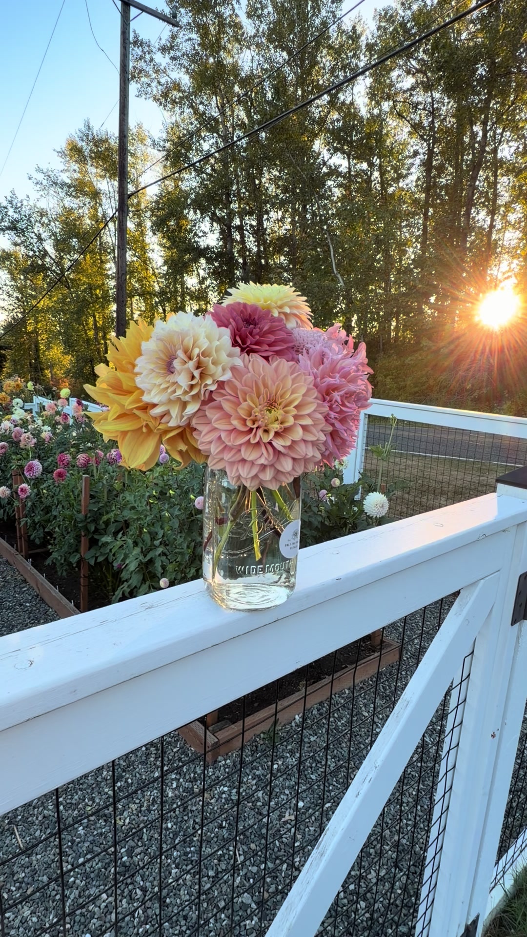 @Only The Pretty Petals