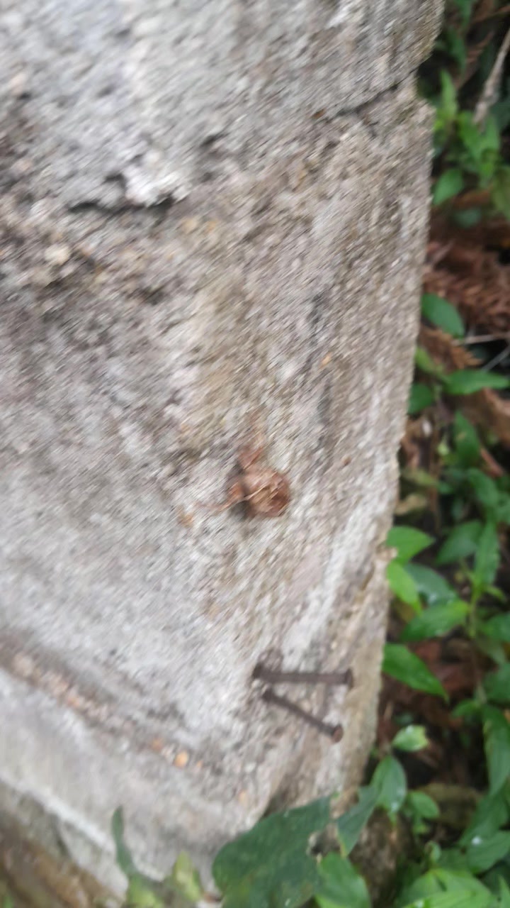 @Reginaldo dos santos pereira