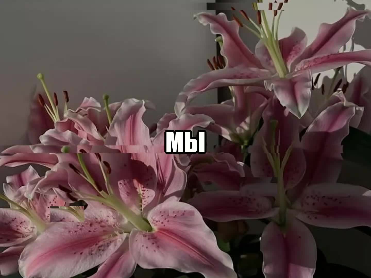@музыка для липсингов