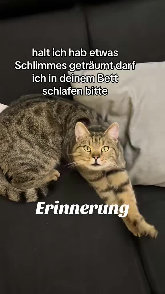 @WildlifeStreams