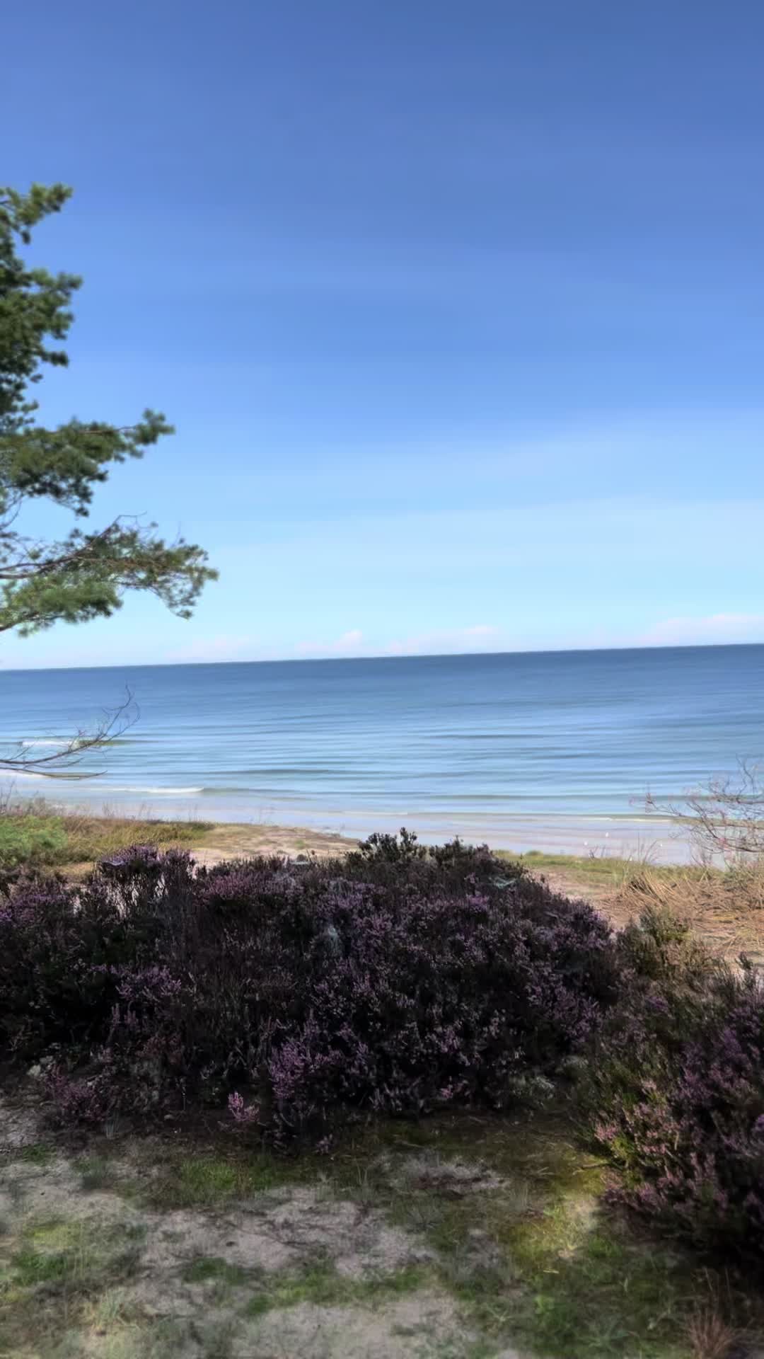 @Villa Norda Dębki 🇵🇱