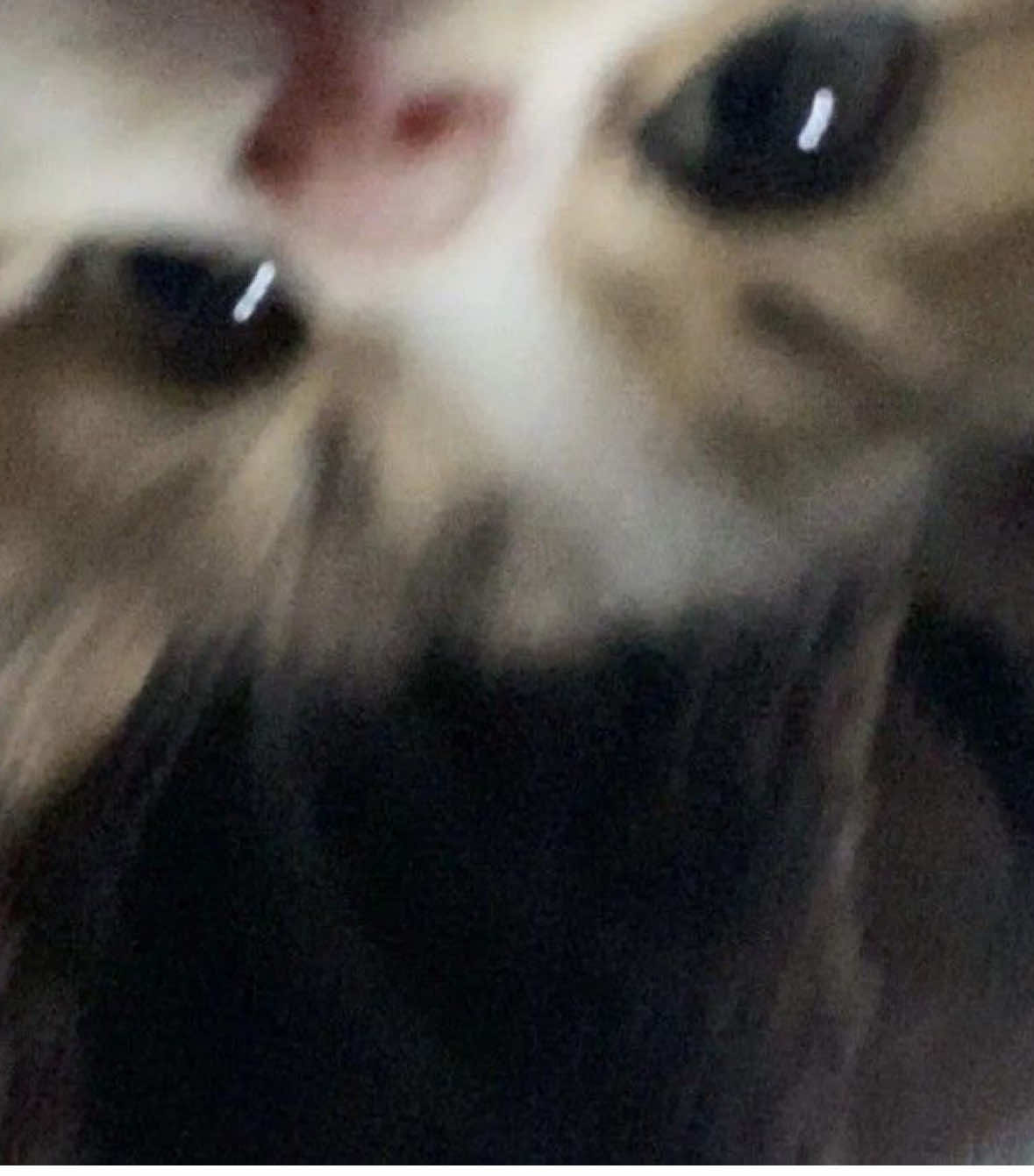 @g