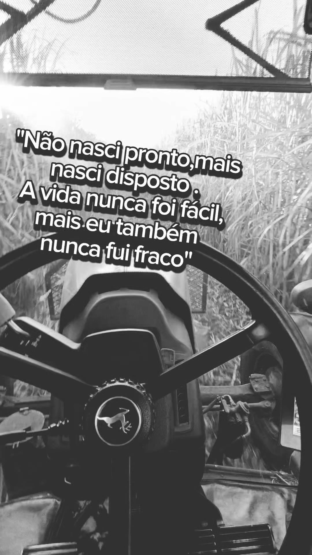 @Alexandre Barbosa
