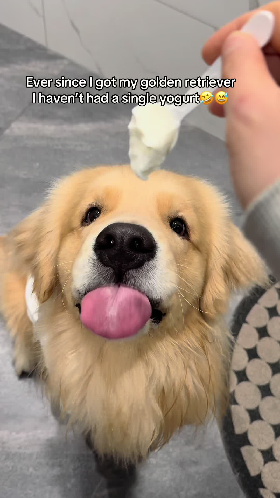 @Golden Fur Bender