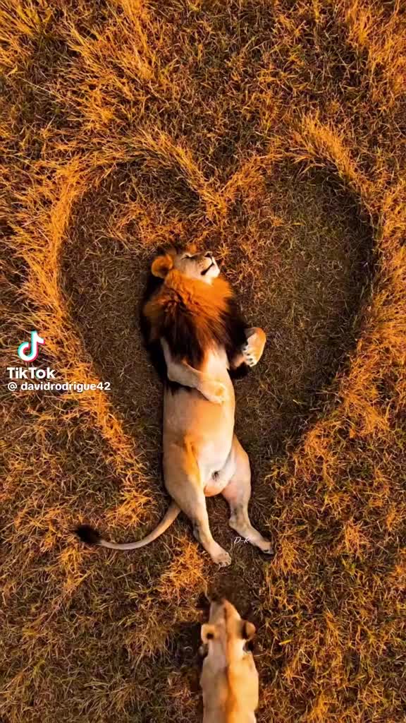 @Alexander✅️