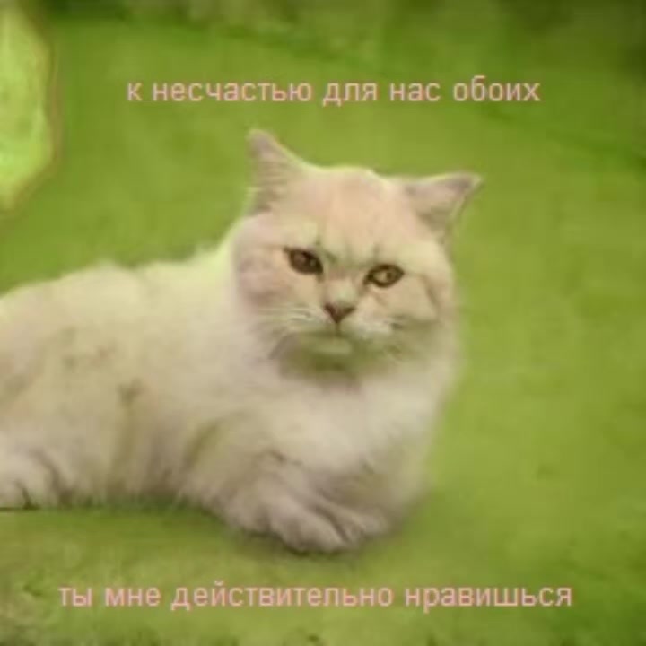 @Пепел