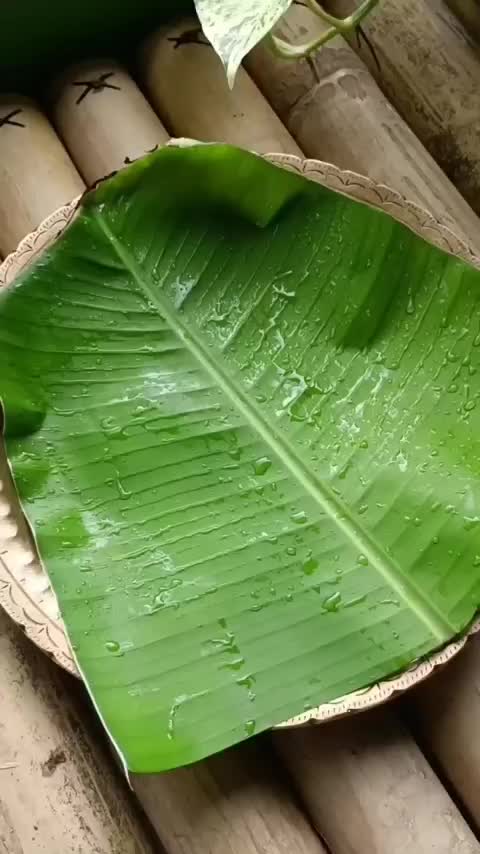 @Ryan_Smith