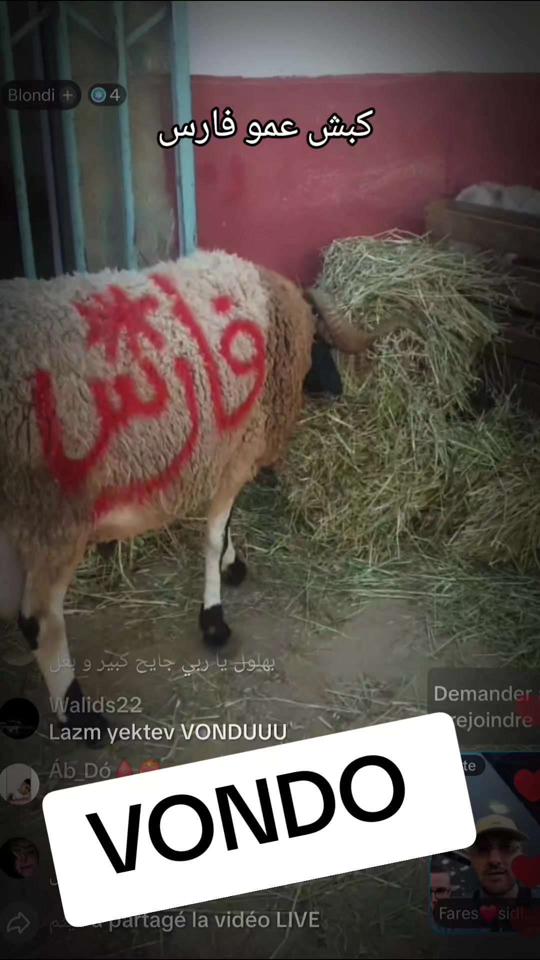 @𝙻𝙴 𝓜 🇩🇿