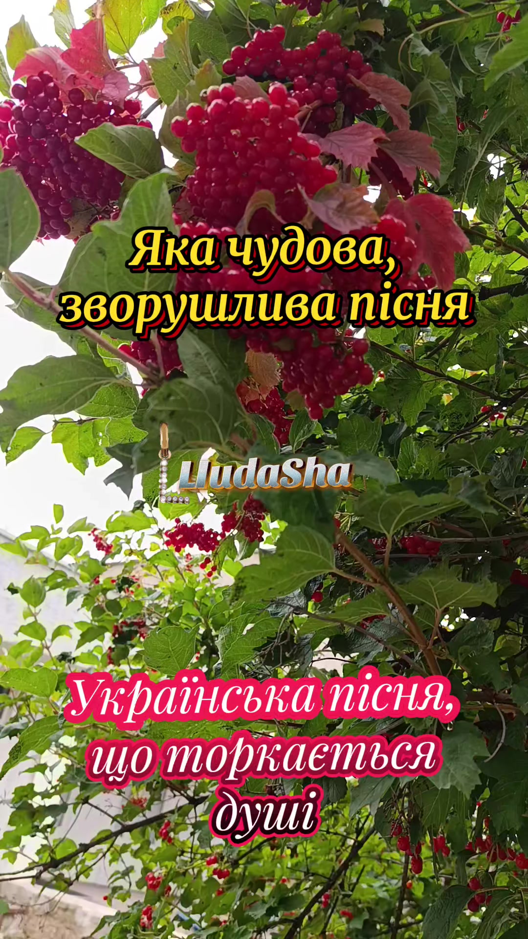 @LlubaSha