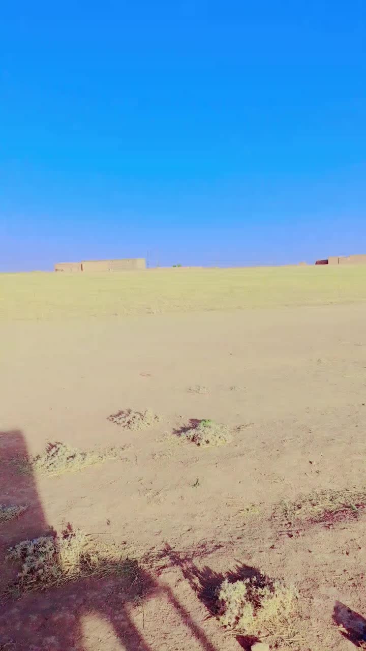 @علي الخالد