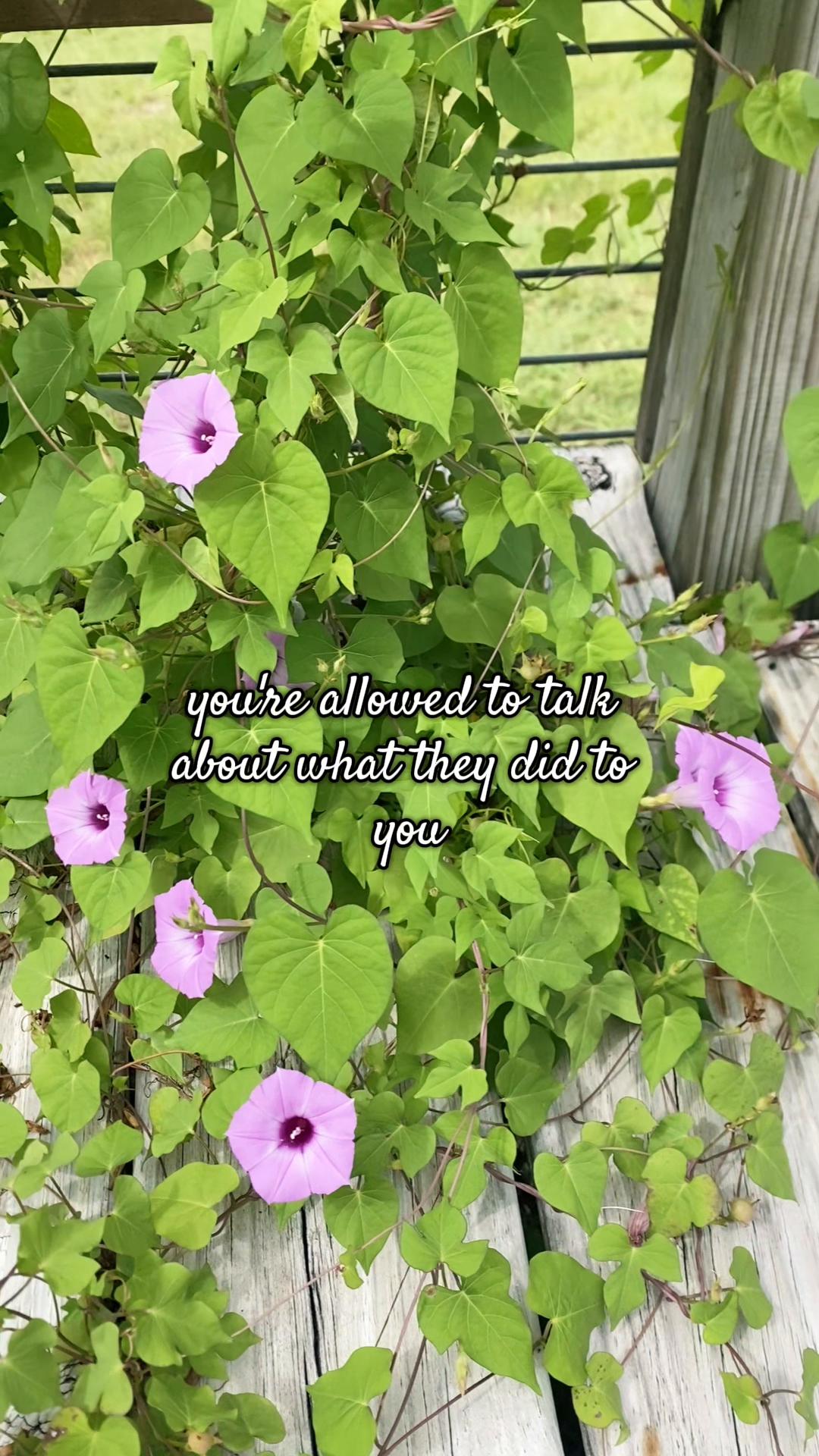 @texasgrl_4everofficial
