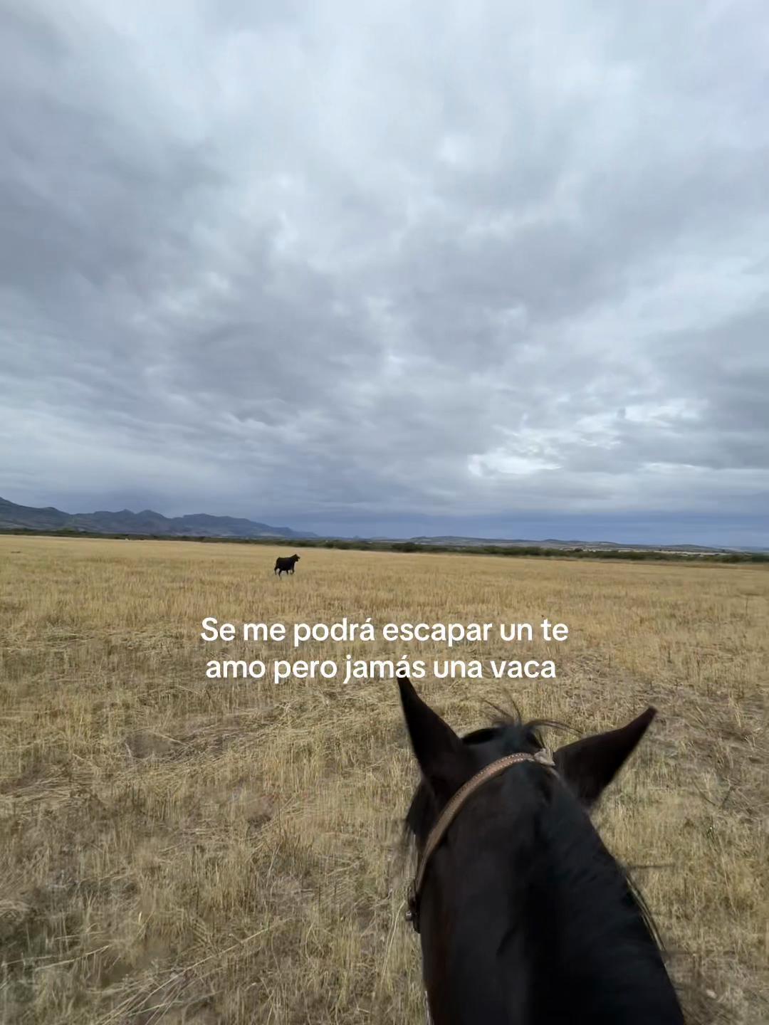 @JuaNito