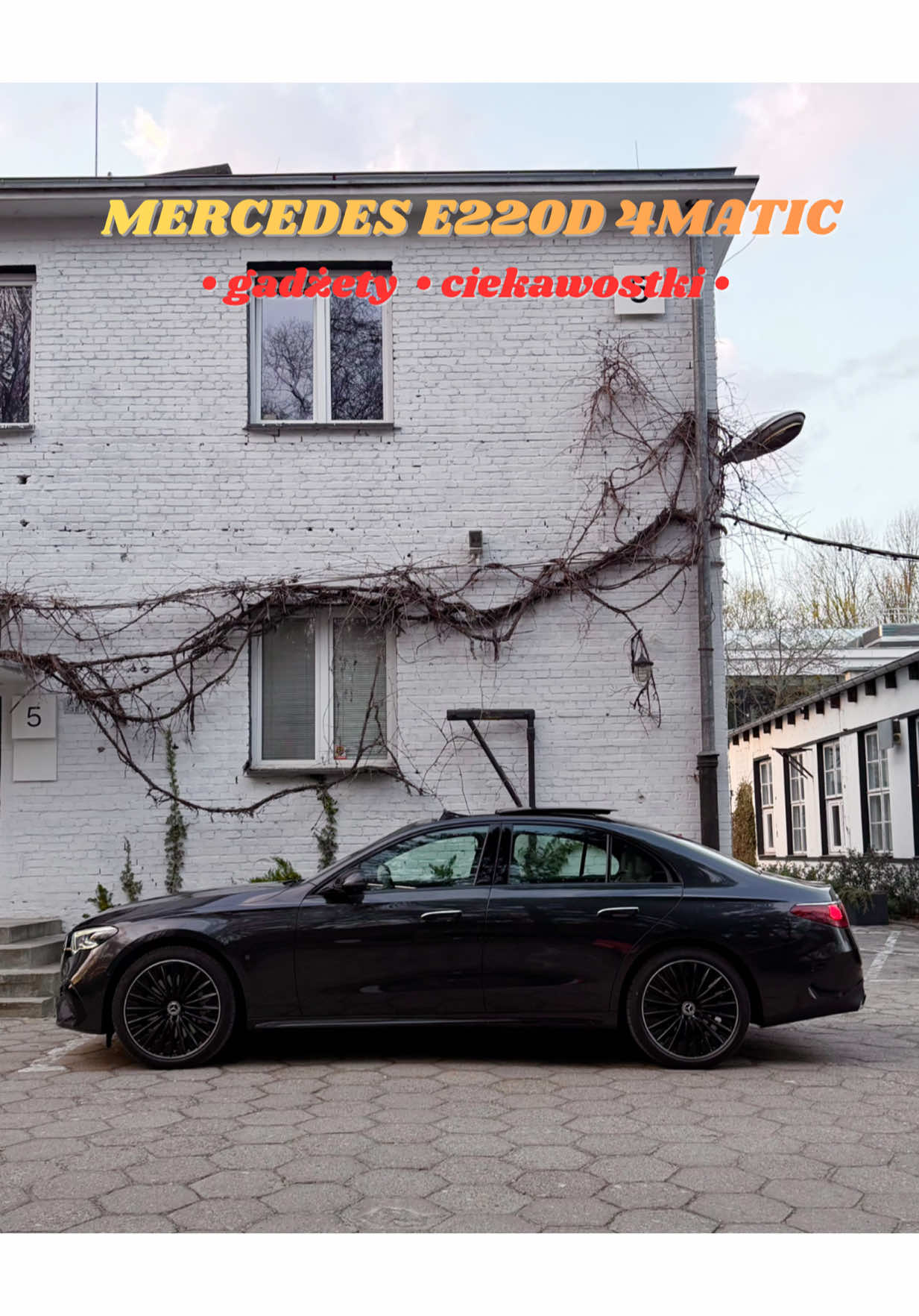 @World Of Cars By M