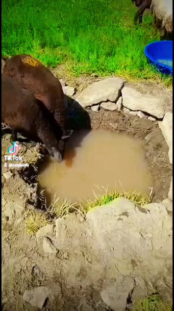 @EFE. &Ouml;ZG&Uuml;VEN 76