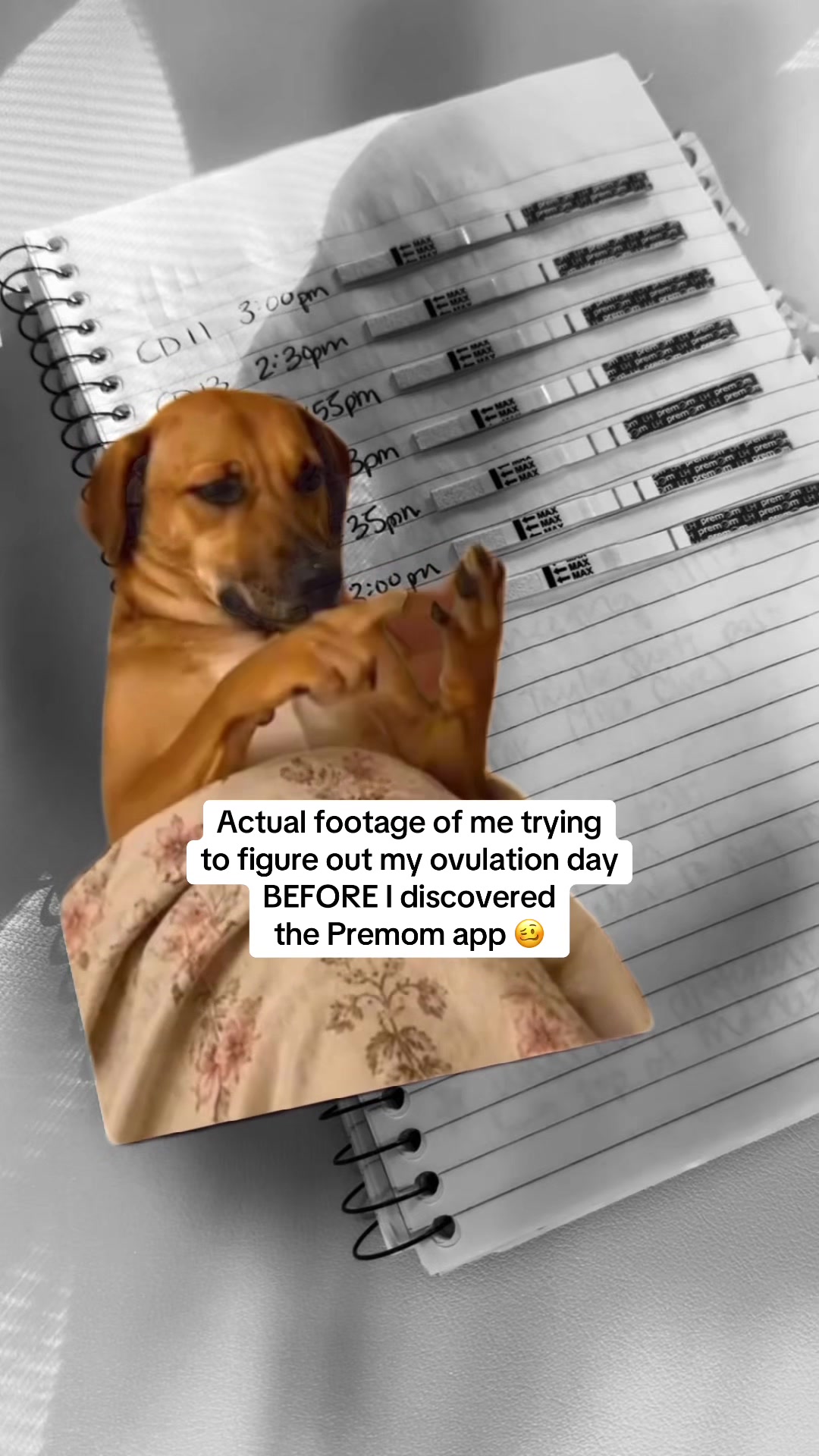 @Premom Ovulation Tracker