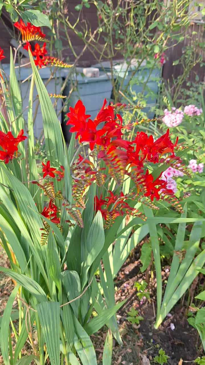 @Natur und Garten