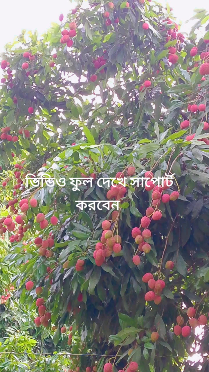 @জিসান
