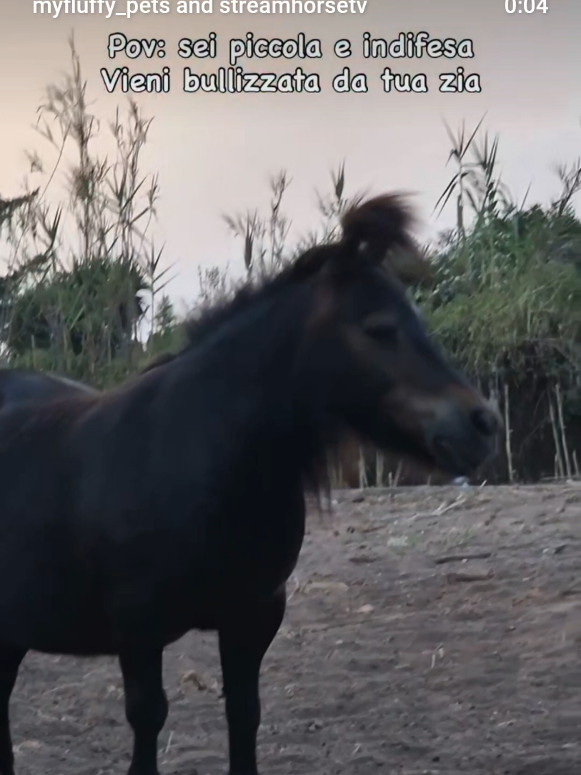@streamhorse