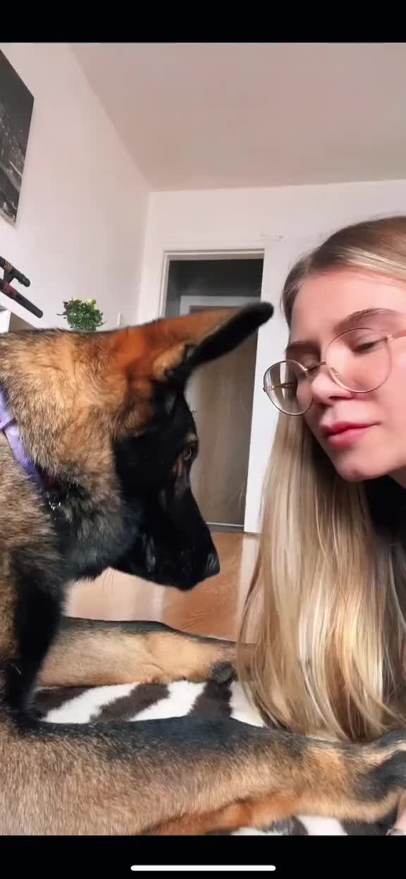 @Oana for Dogs