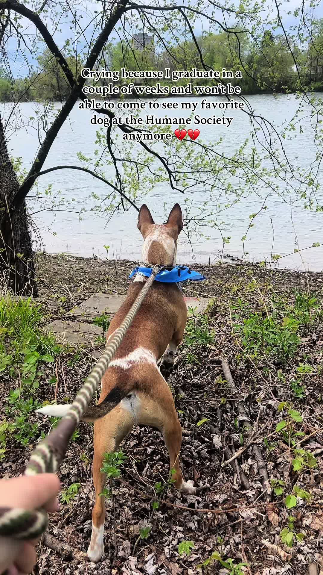 @Shaina | D1🦷