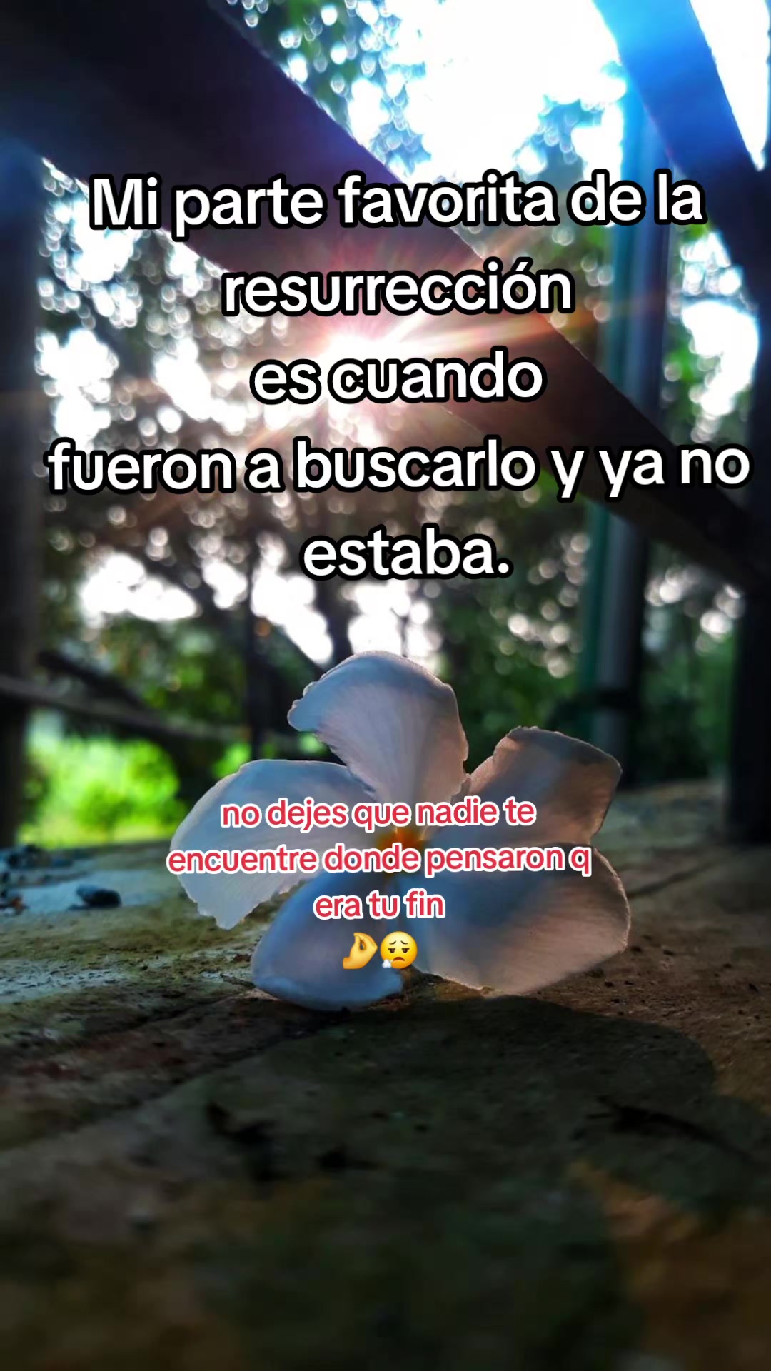 @juanabenitez163