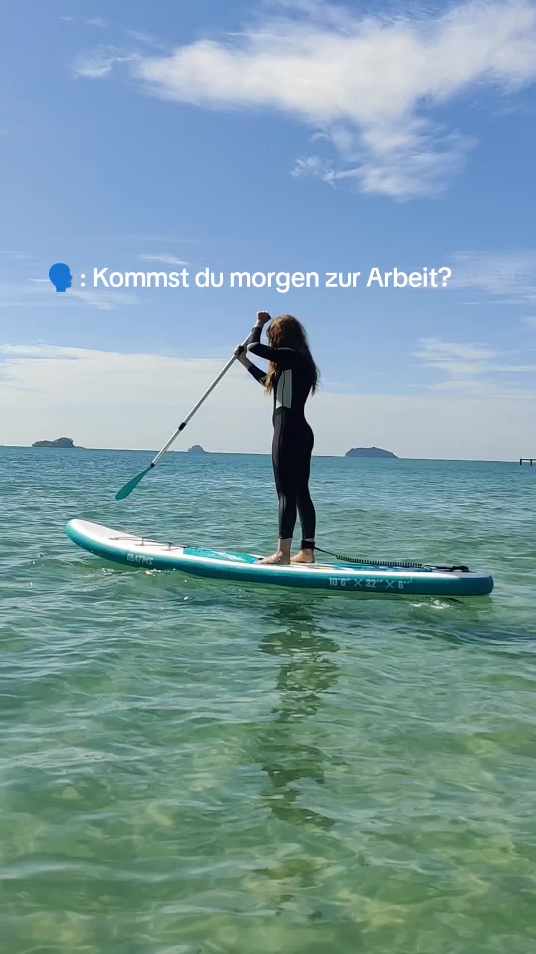 @amsel