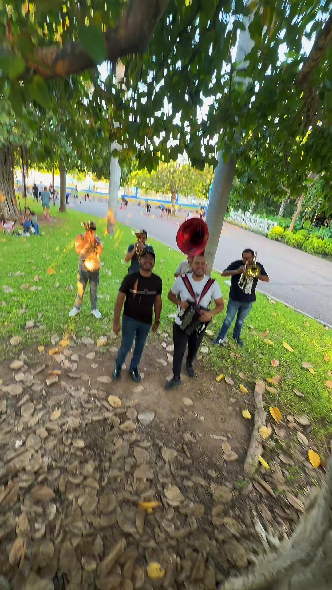 @Banda Renovaci&oacute;n