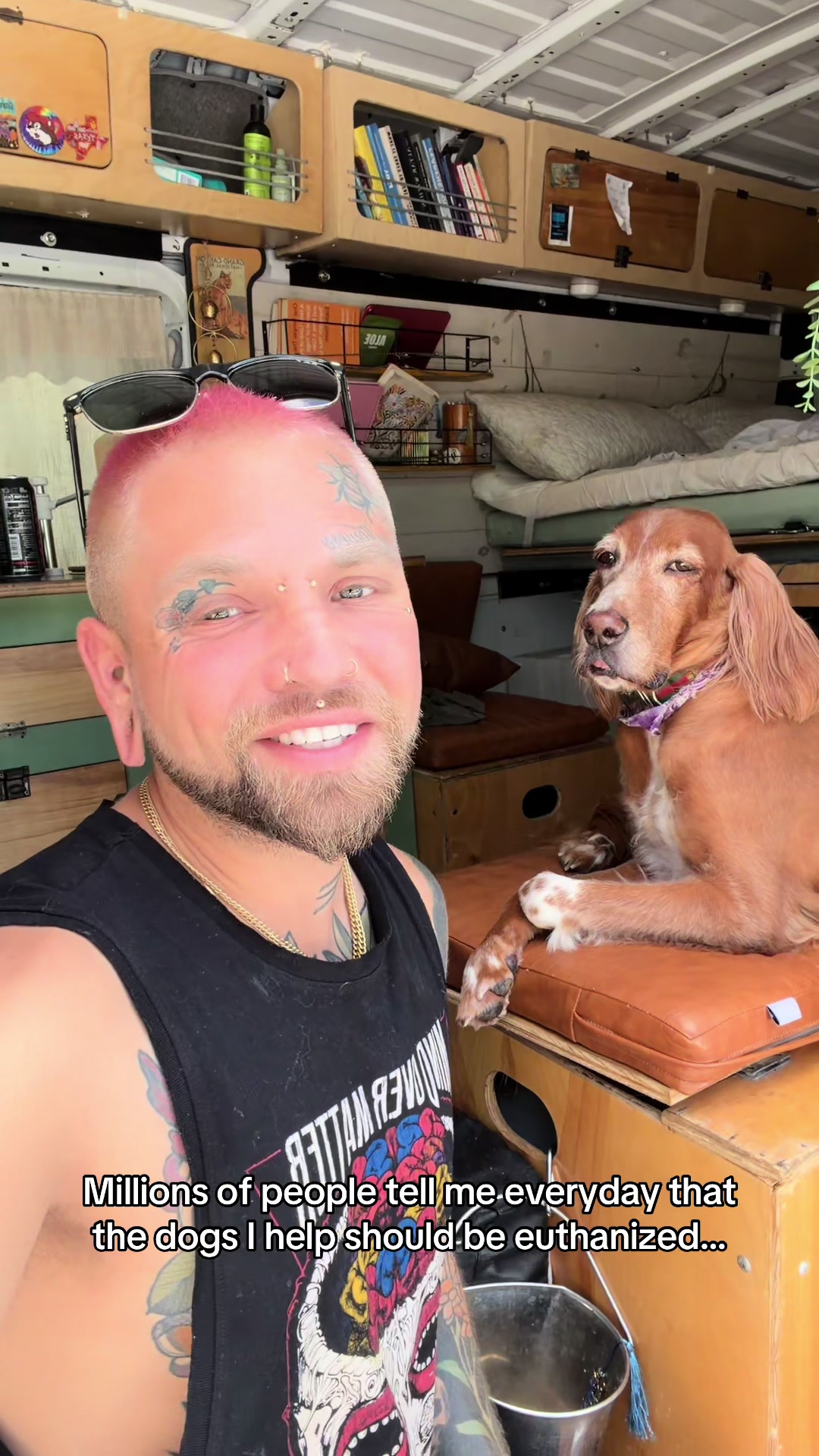 @balancedcanineacademy