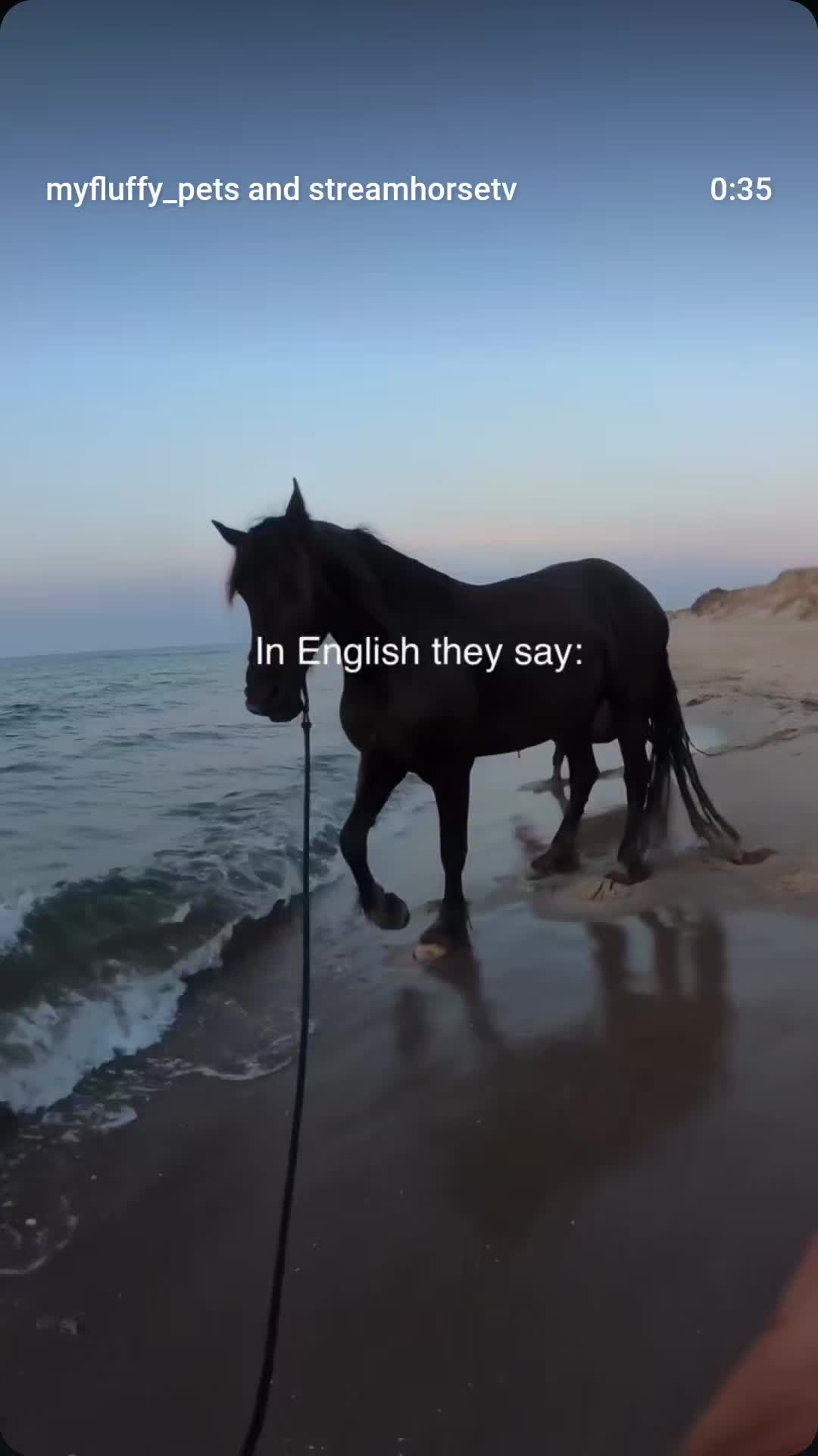 @streamhorse