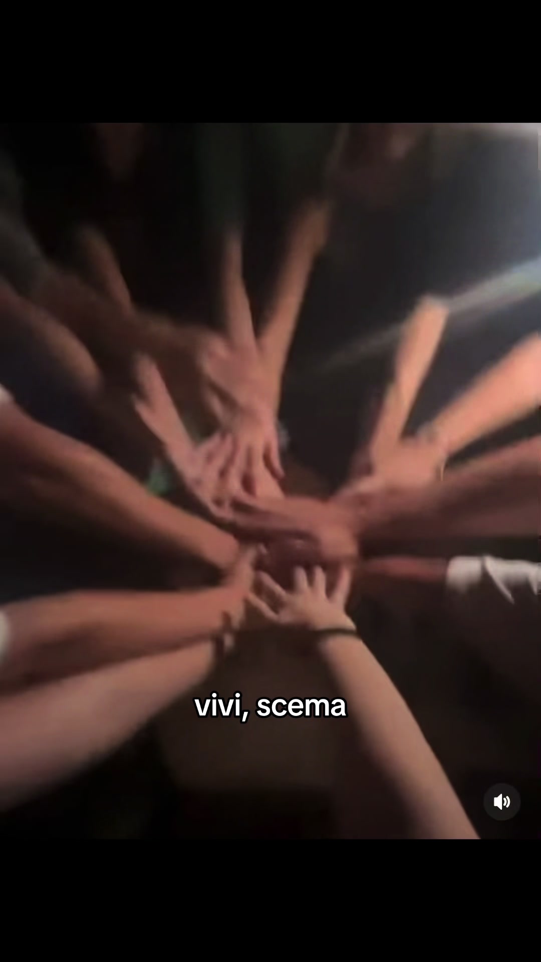 @vivi