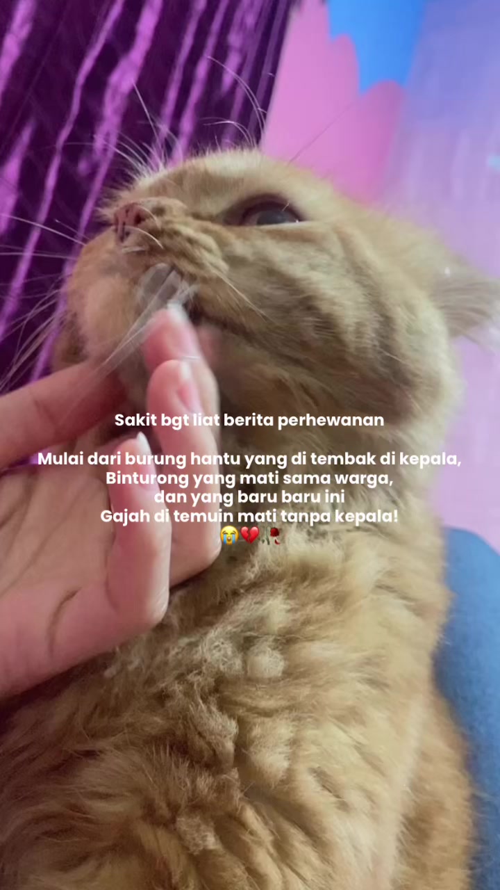 @Cikchubwa