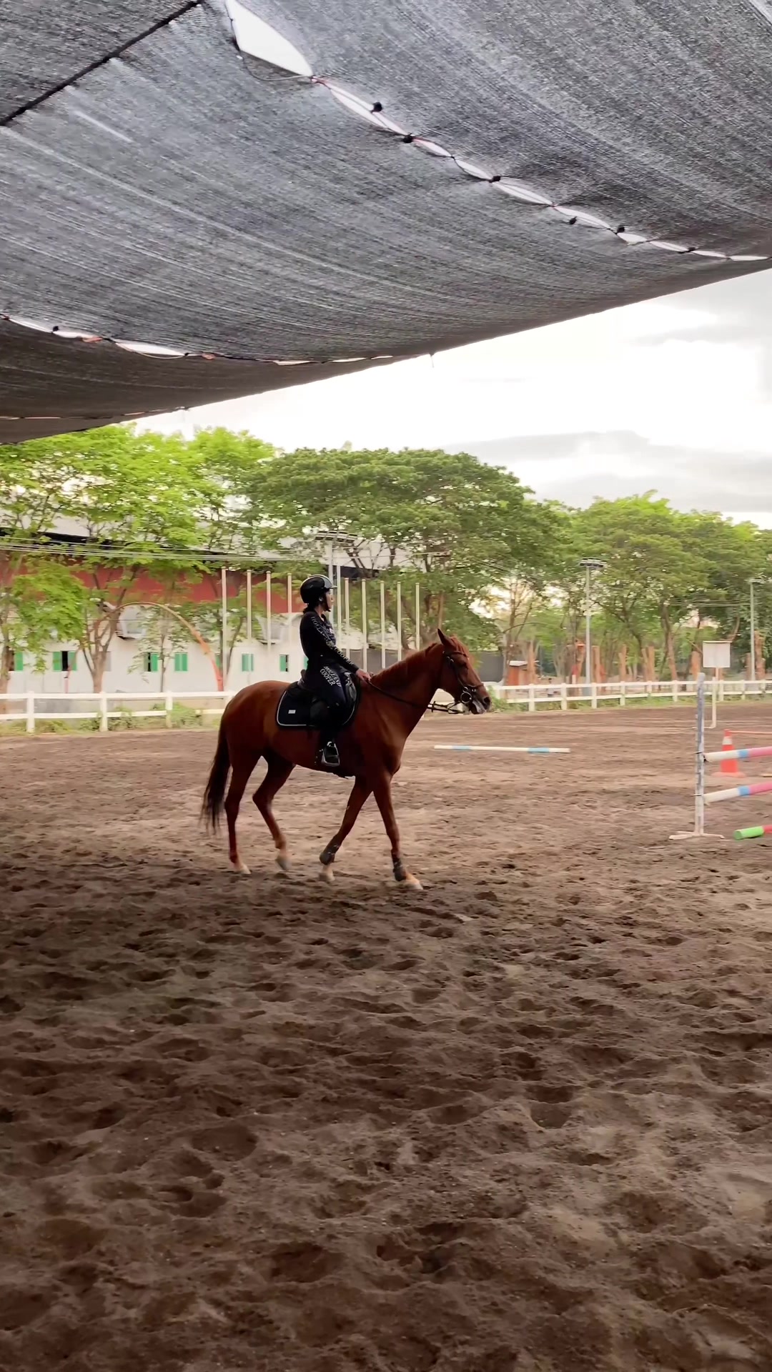 @Emporium Horse Club