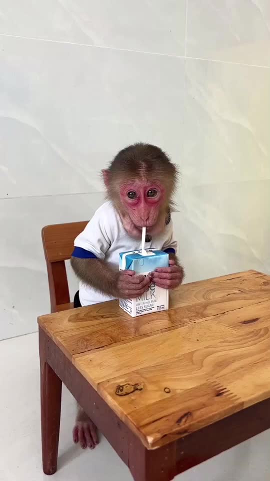 @Lilymonkey