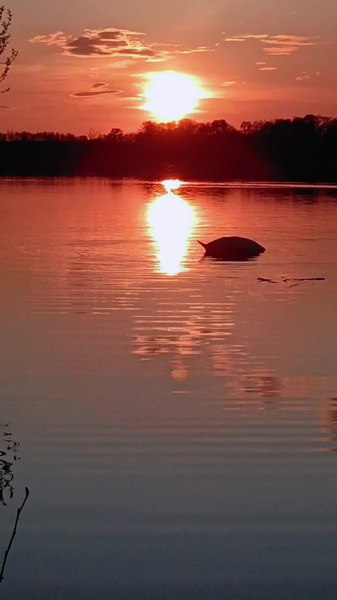 @🍀✨,,To nie ja byłam Ewą"✨🍀😉