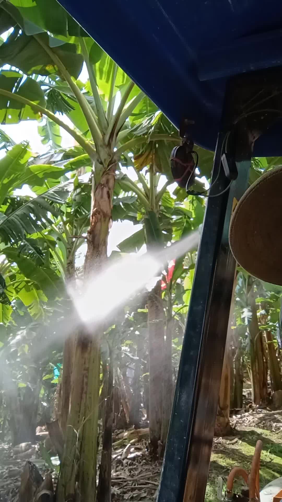 @vilmar alemão