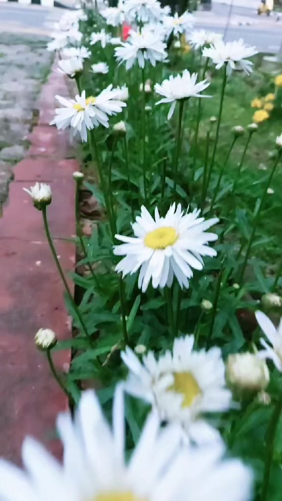 @Mr____Regmi🇳🇵