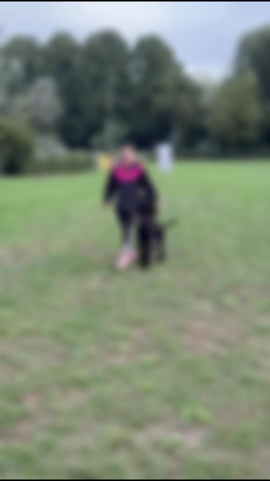 @Jasi&Tobi Dogsport