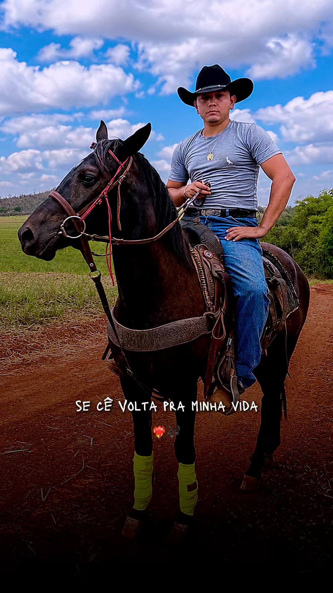 @mateusandrade9837