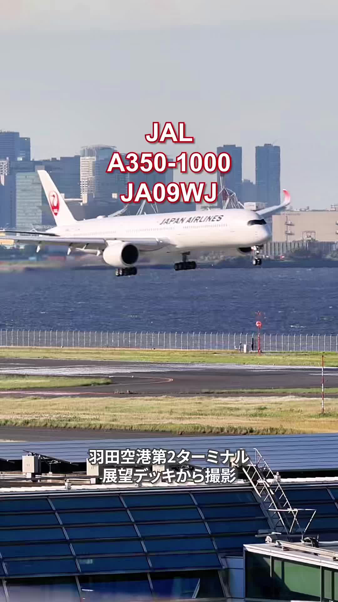 @Skyline だ〜はね|Haneda Airport ✈️