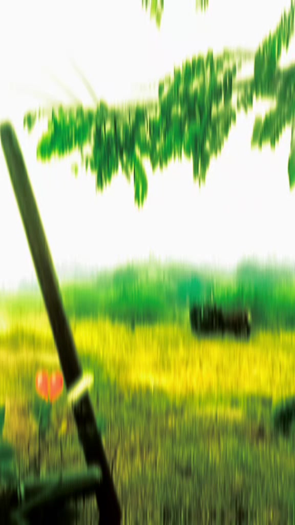 @๐๐๏ธ๐ค๐พ๐ถ๐ช๐ท KD๐๐ฅฐ ุฑุญู
ุงู